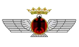 Logo of Atlético Aviación